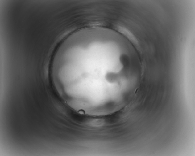 X0000088210155200705292059