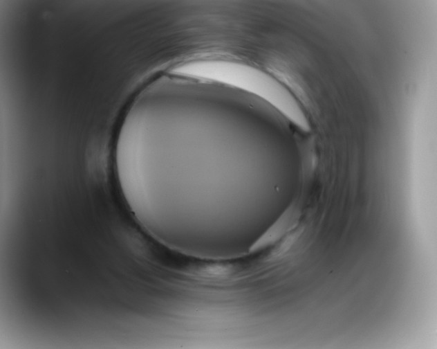 X0000088210156200705292059