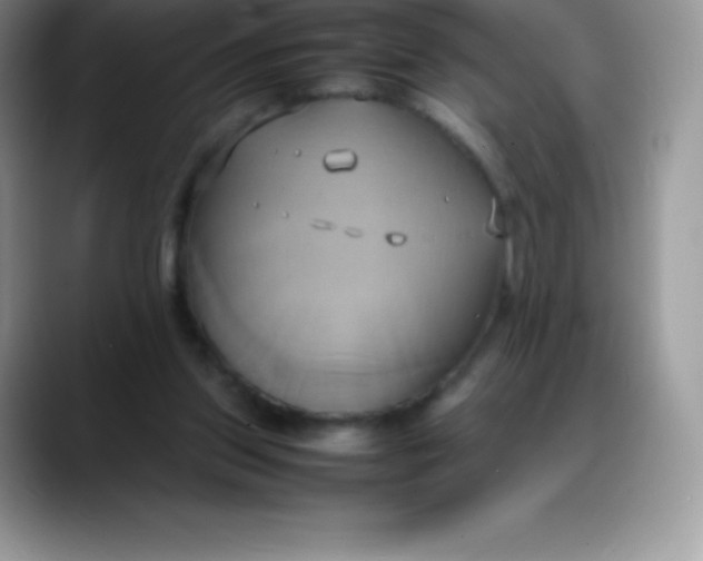 X0000088210157200705292059