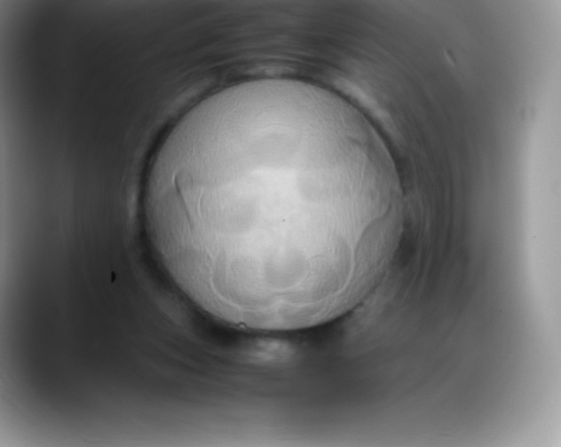 X0000088210159200705292059