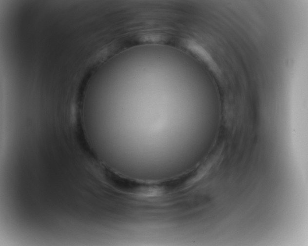 X0000088210161200705292059