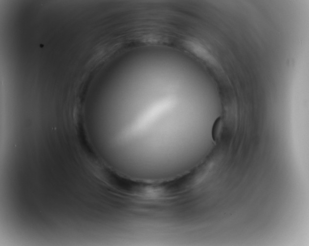 X0000088210165200705292059