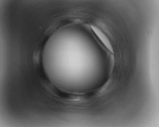 X0000088210167200705292059