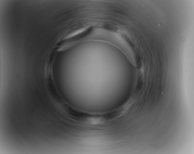 X0000088210168200705292059