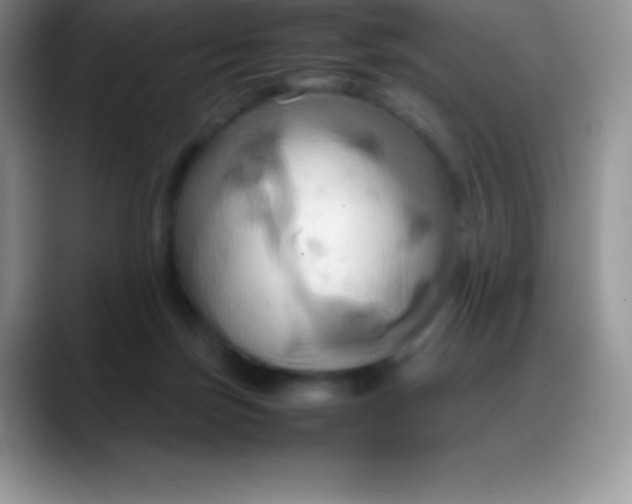 X0000088210171200705292100