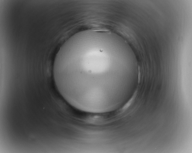 X0000088210174200705292100