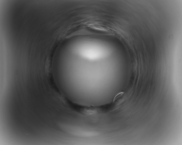 X0000088210181200705292100