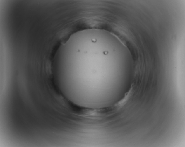 X0000088210182200705292100