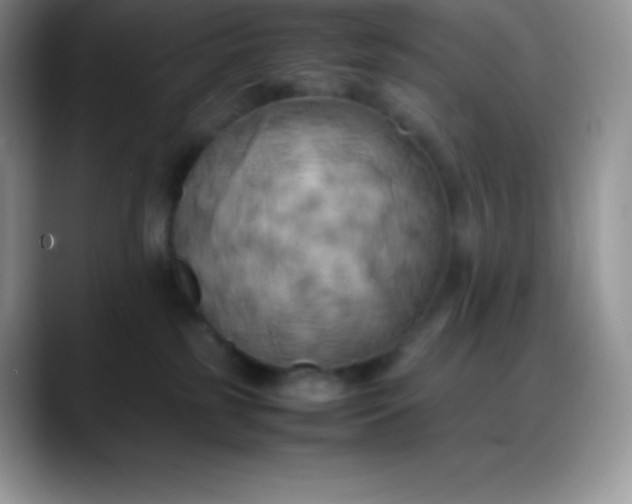 X0000088210185200705292100