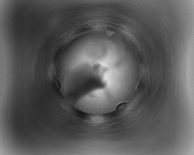 X0000088210189200705292100