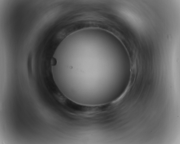 X0000088210191200705292100