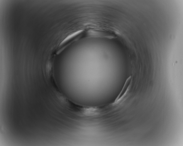 X0000088210192200705292100