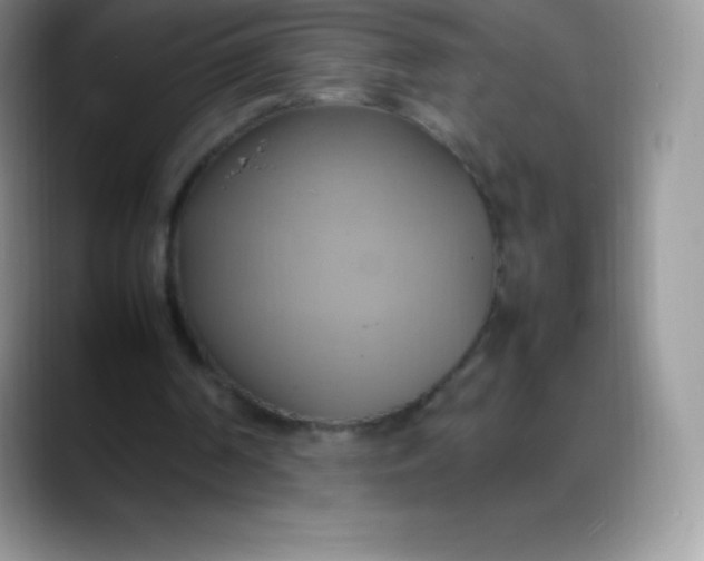 X0000088210194200705292059