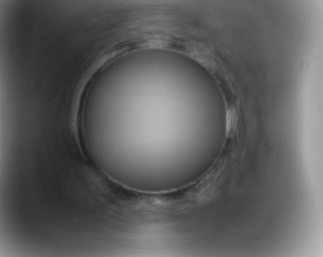 X0000088210195200705292059