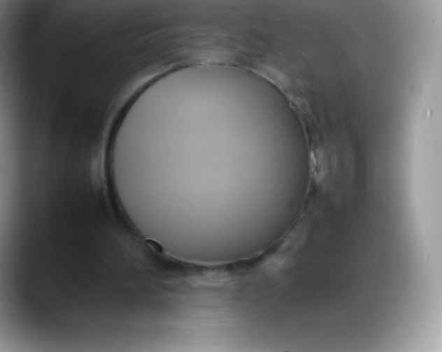 X0000088210196200705292059