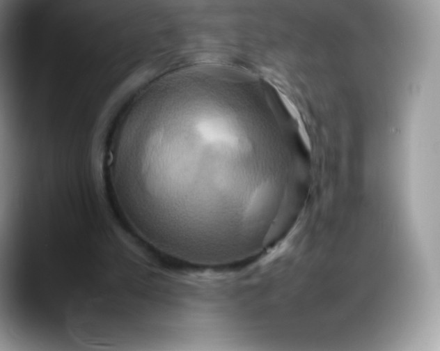 X0000088210197200705292059