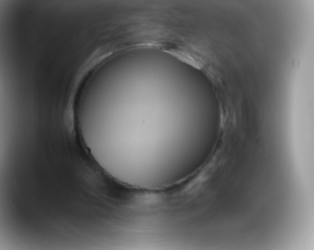 X0000088210198200705292059