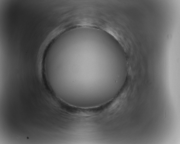 X0000088210199200705292059