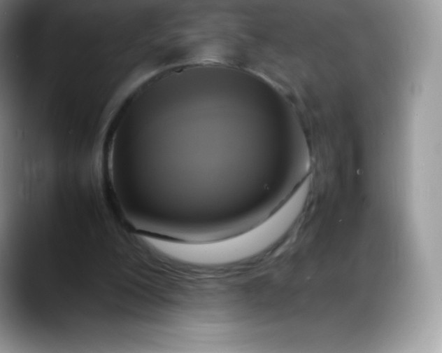 X0000088210200200705292059