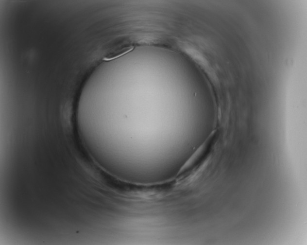 X0000088210201200705292059