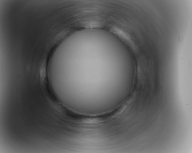 X0000088210202200705292059