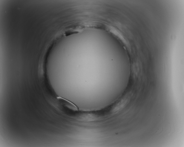 X0000088210203200705292059