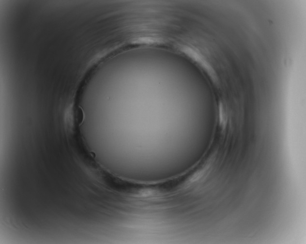 X0000088210204200705292059