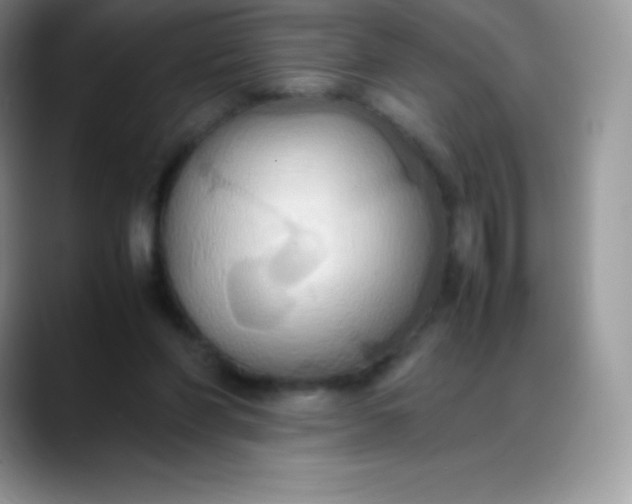 X0000088210206200705292059