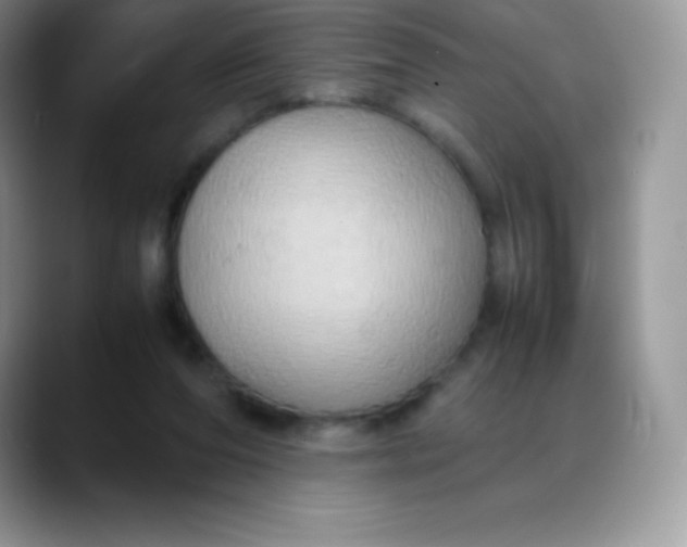 X0000088210208200705292059