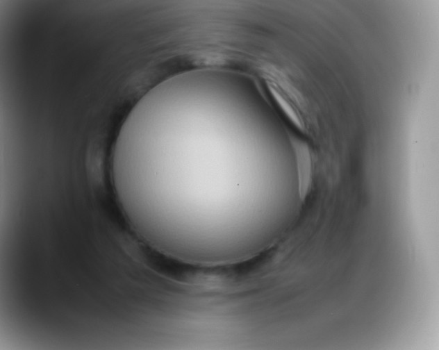 X0000088210209200705292059