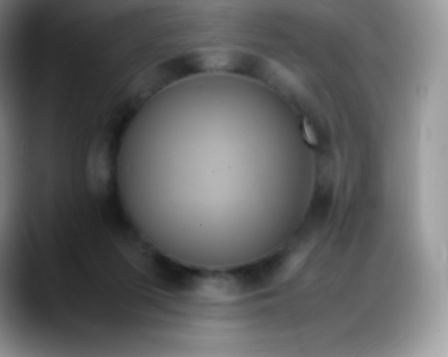 X0000088210215200705292059