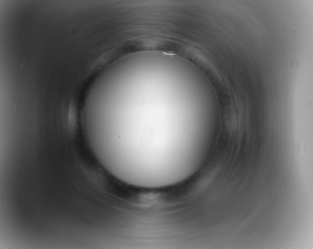 X0000088210216200705292059