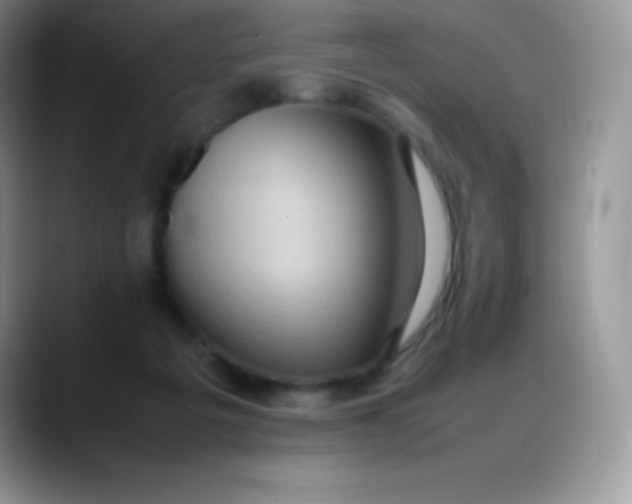 X0000088210217200705292059