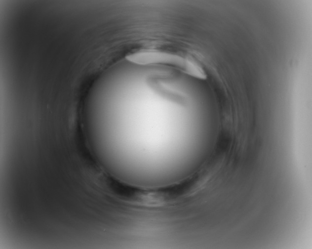 X0000088210221200705292059