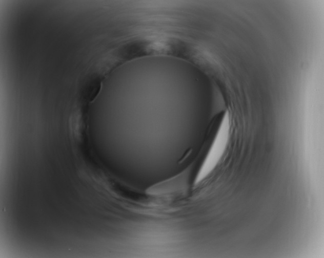 X0000088210223200705292059