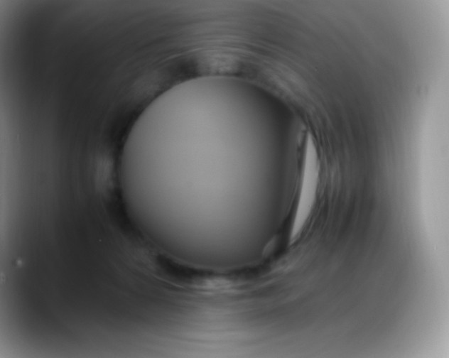 X0000088210224200705292059