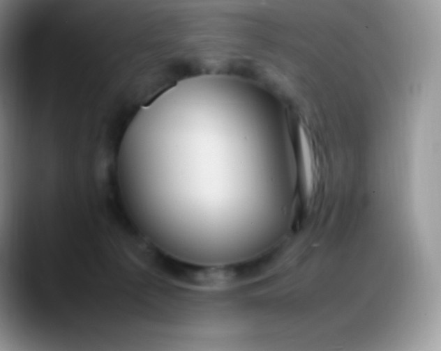 X0000088210225200705292059