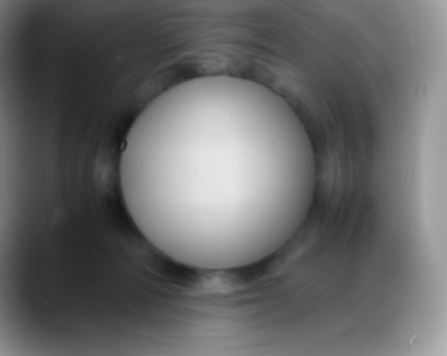 X0000088210226200705292059