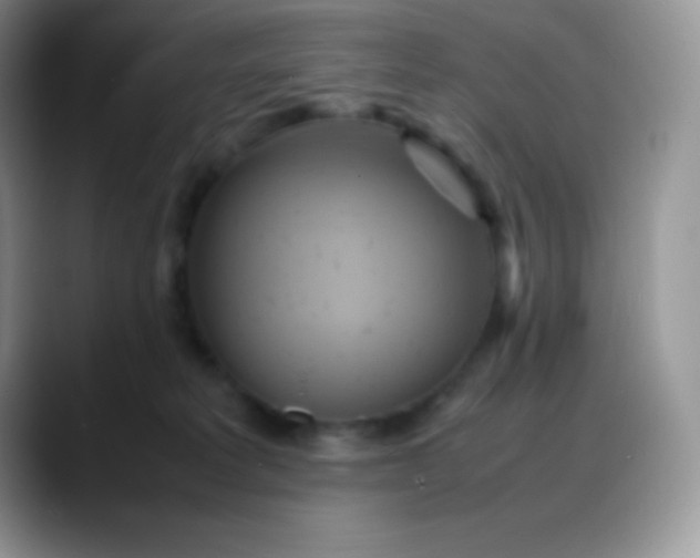 X0000088210229200705292059