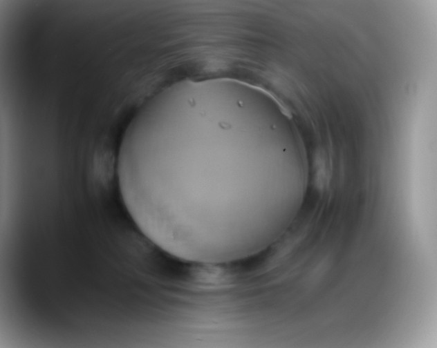 X0000088210230200705292059