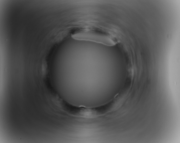 X0000088210231200705292059