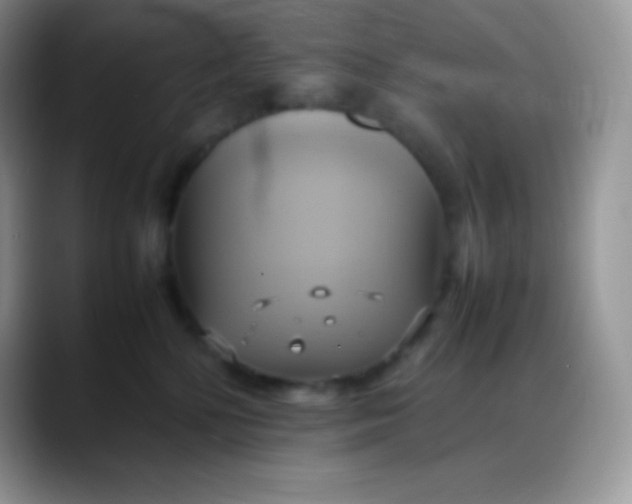 X0000088210232200705292059