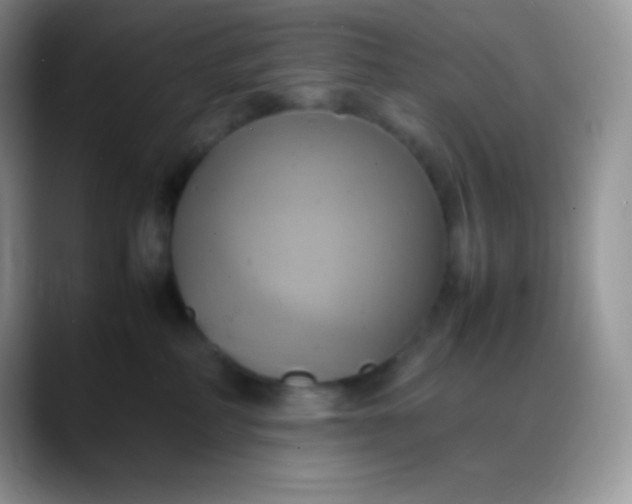 X0000088210234200705292059