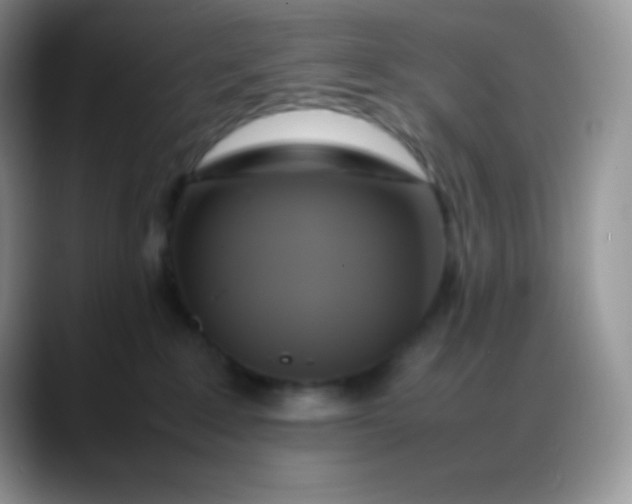 X0000088210235200705292059