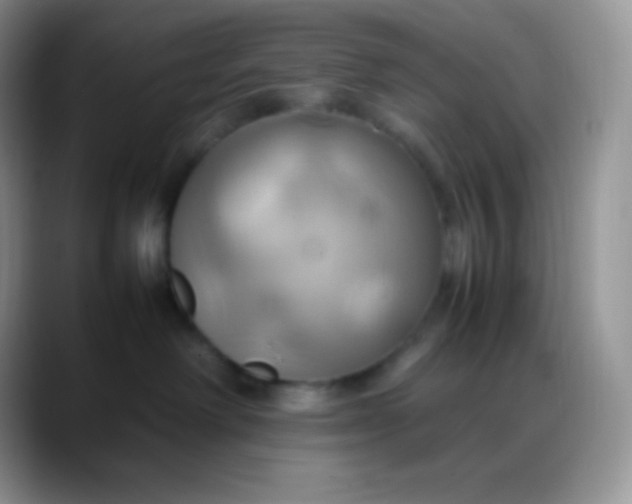 X0000088210238200705292059