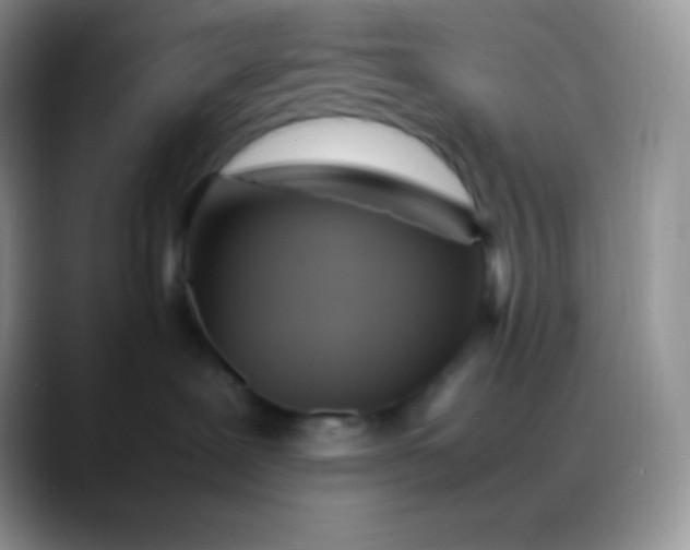 X0000088210239200705292059