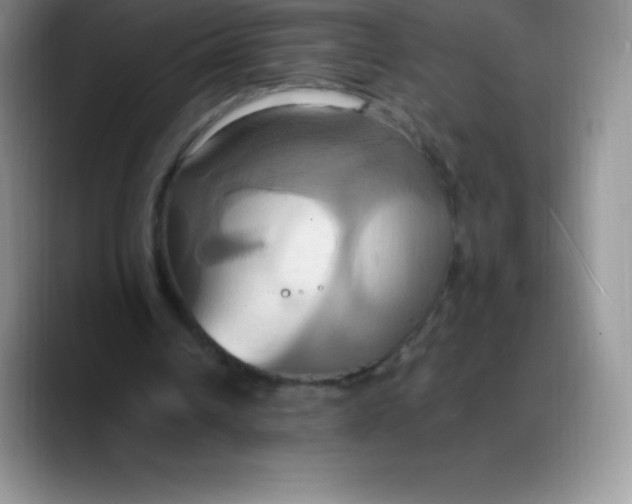 X0000088210242200705292058