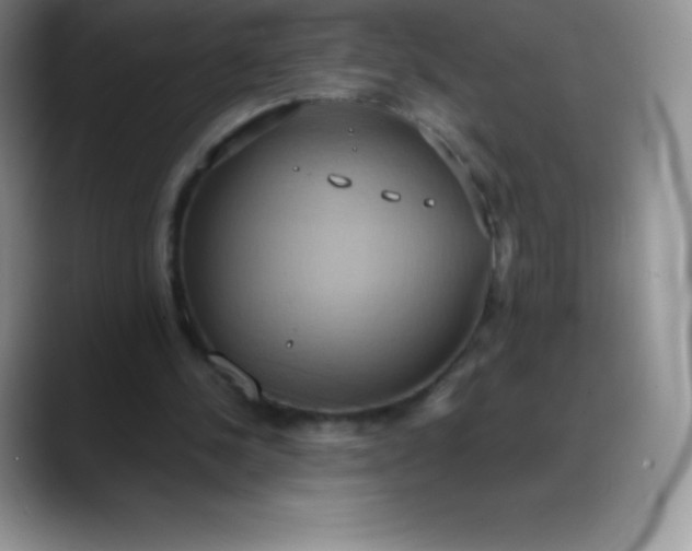 X0000088210244200705292058