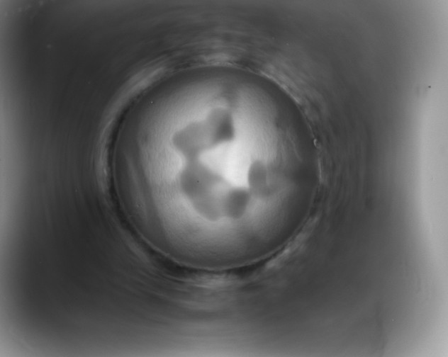 X0000088210245200705292058