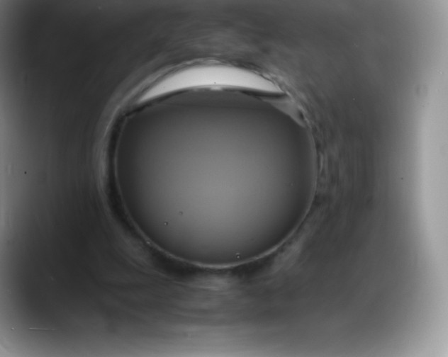 X0000088210247200705292058